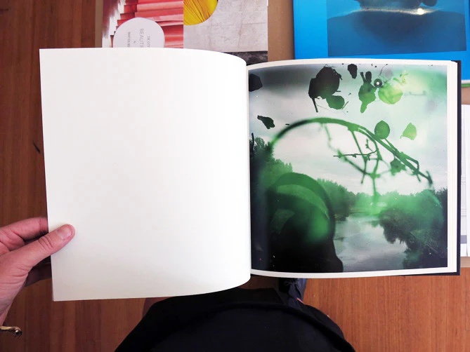 Stephen Gill - Talking to Ants - Image 3