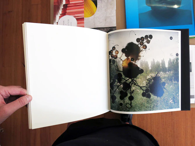 Stephen Gill - Talking to Ants - Image 6