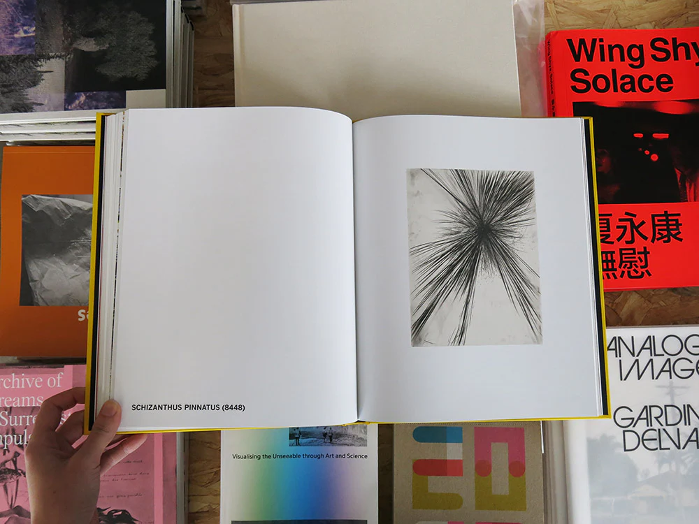 Sterling Ruby – Drowse Murmurs - Image 9