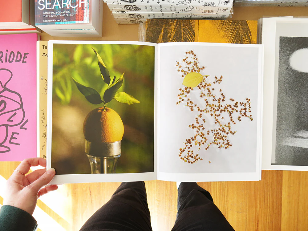 Still Life - Image 3