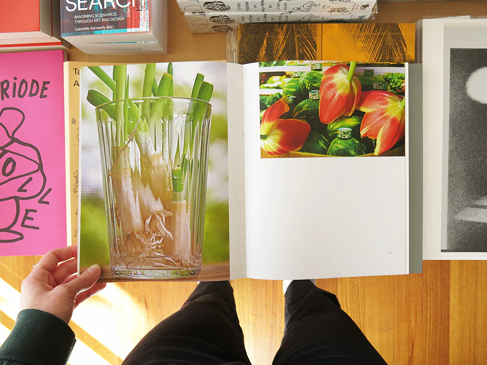 Still Life - Image 8