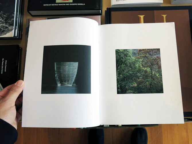 Stuart Whipps - White Ashes Fell - Image 2