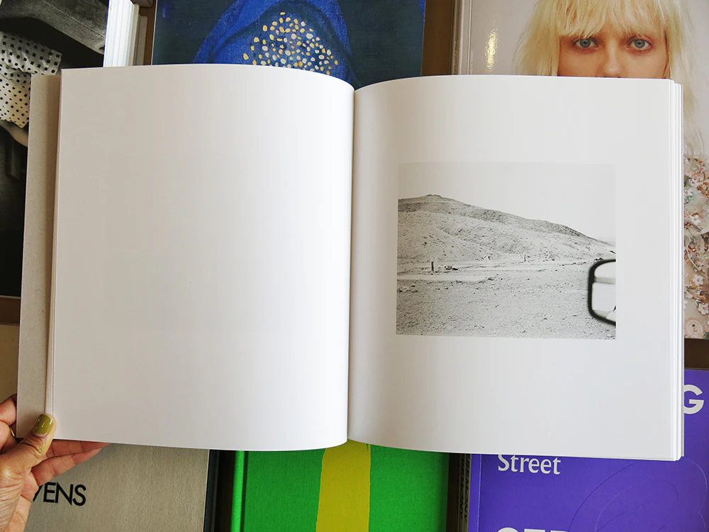 Susan Lipper – Domesticated Land - Image 2