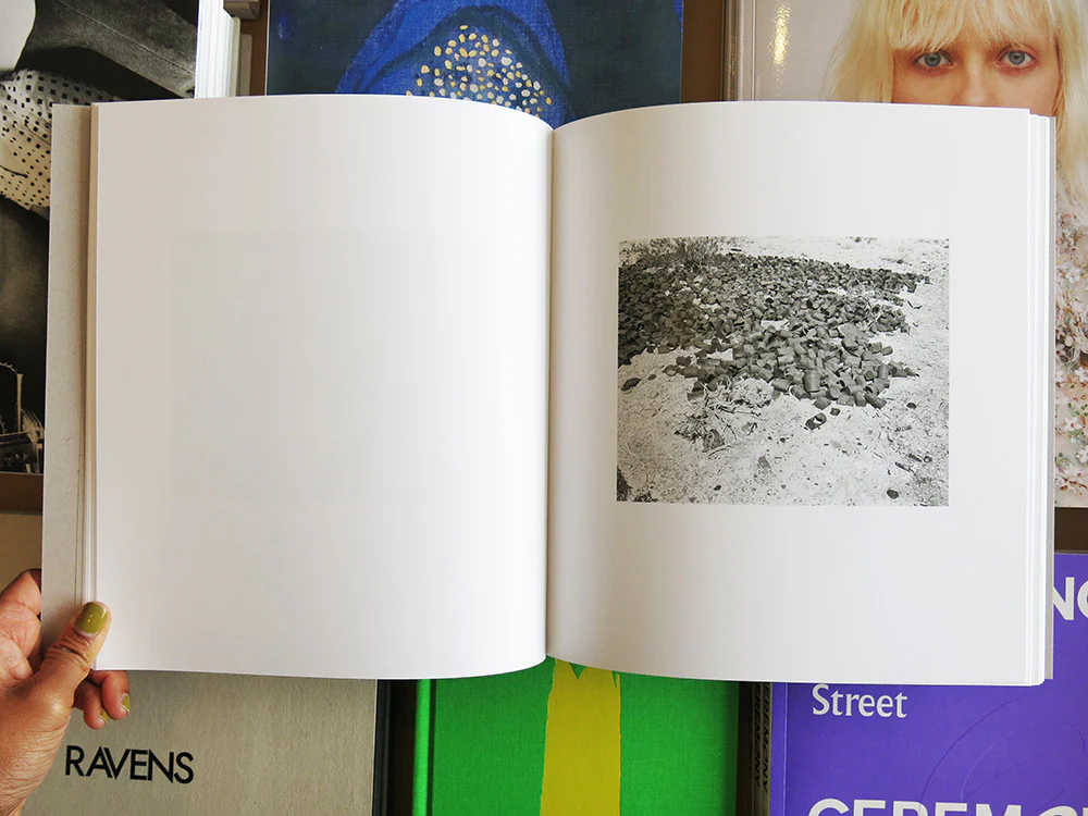 Susan Lipper – Domesticated Land - Image 3
