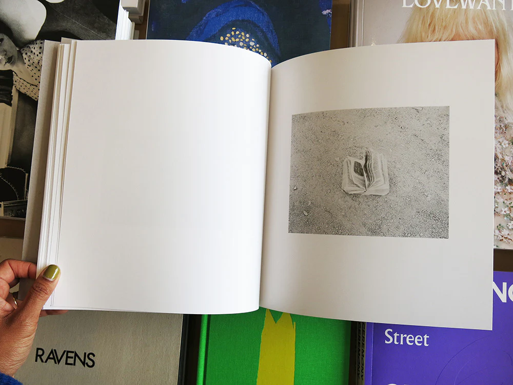 Susan Lipper – Domesticated Land - Image 4