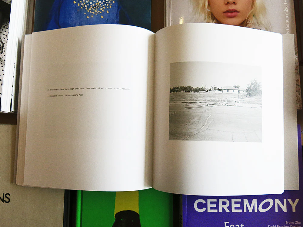 Susan Lipper – Domesticated Land - Image 5