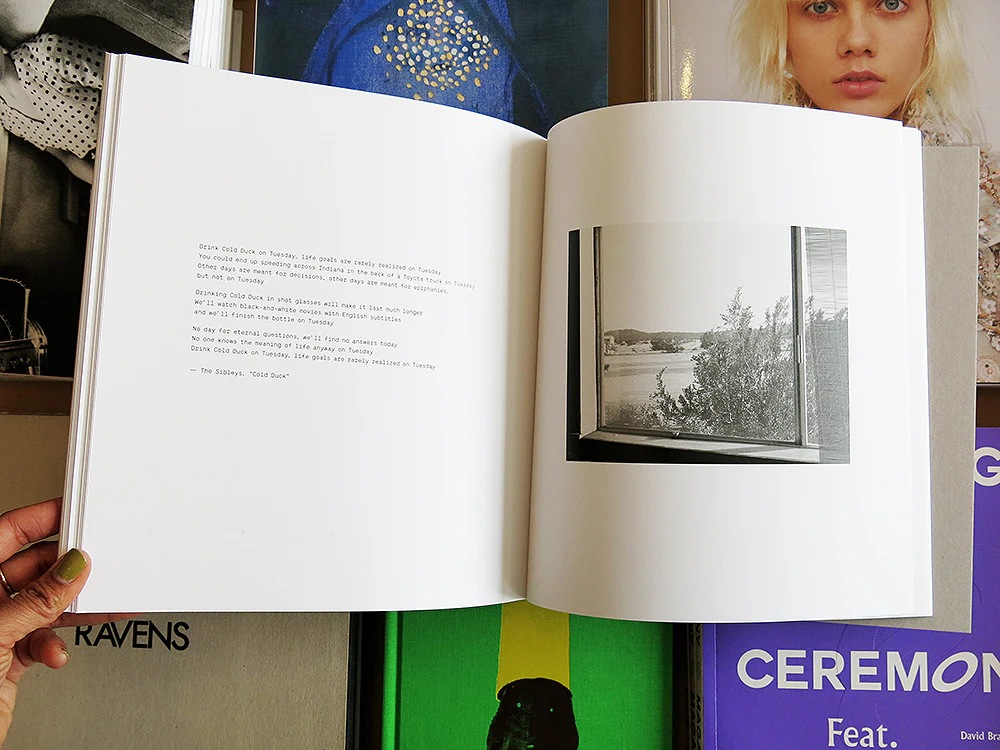 Susan Lipper – Domesticated Land - Image 7