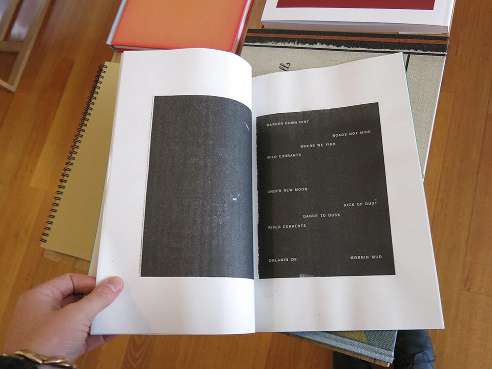 Suzanna Zak - Sun + Soil / Moon + Dirt - Image 6