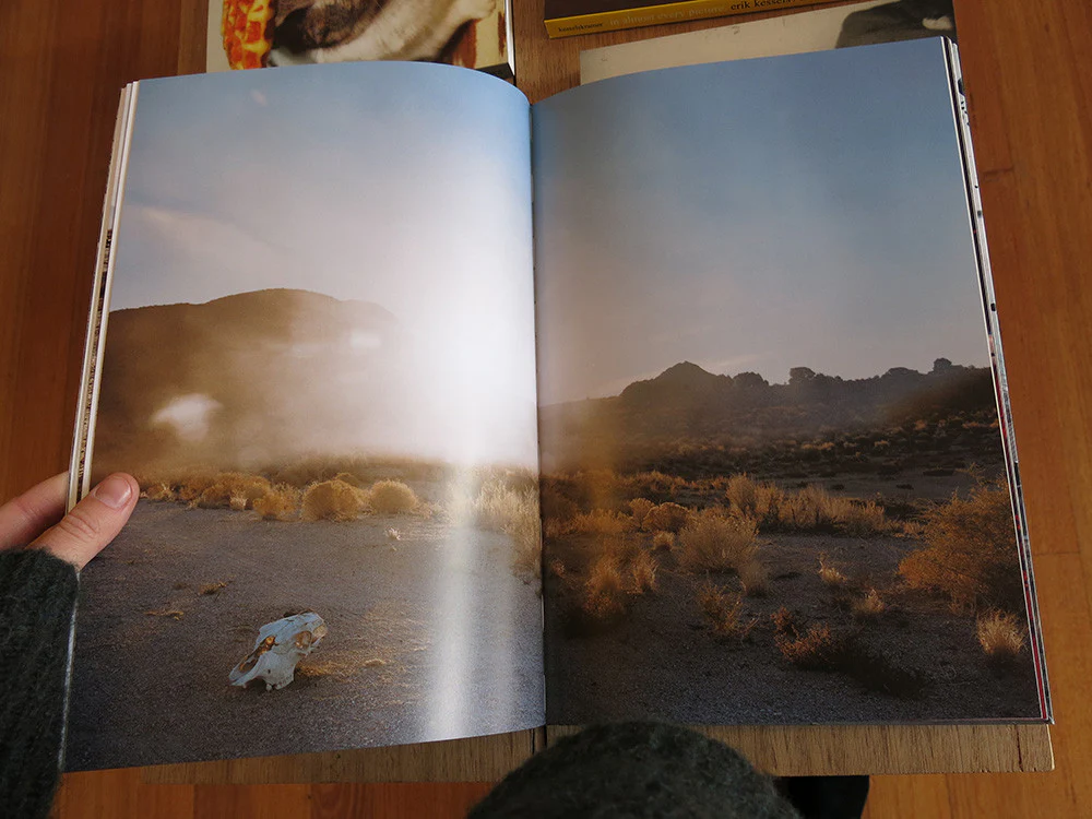 Taiyo Onorato & Nico Krebs - The Great Unreal - Image 5