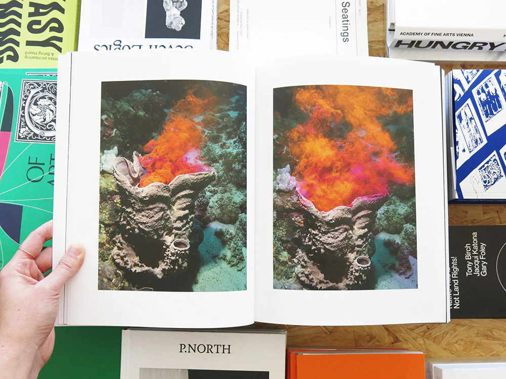Taiyo Onorato & Nico Krebs – Water Column - Image 4
