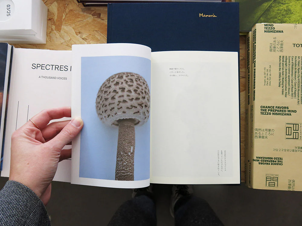 Takashi Homma – Islands, Islets, and Their Mushrooms - Image 2