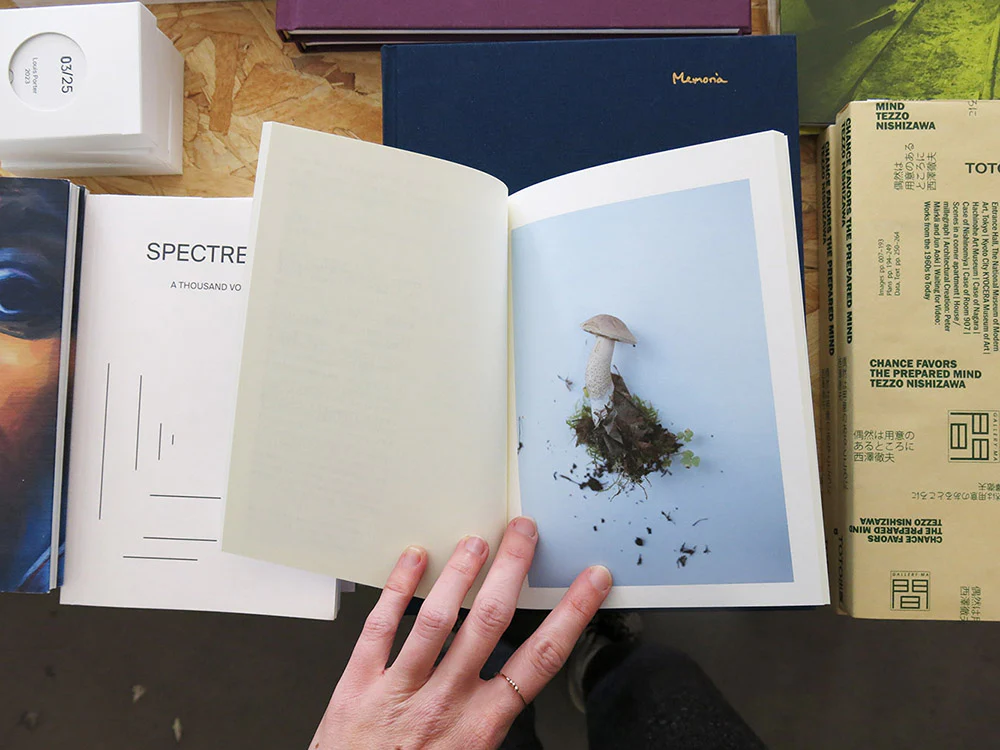 Takashi Homma – Islands, Islets, and Their Mushrooms - Image 4