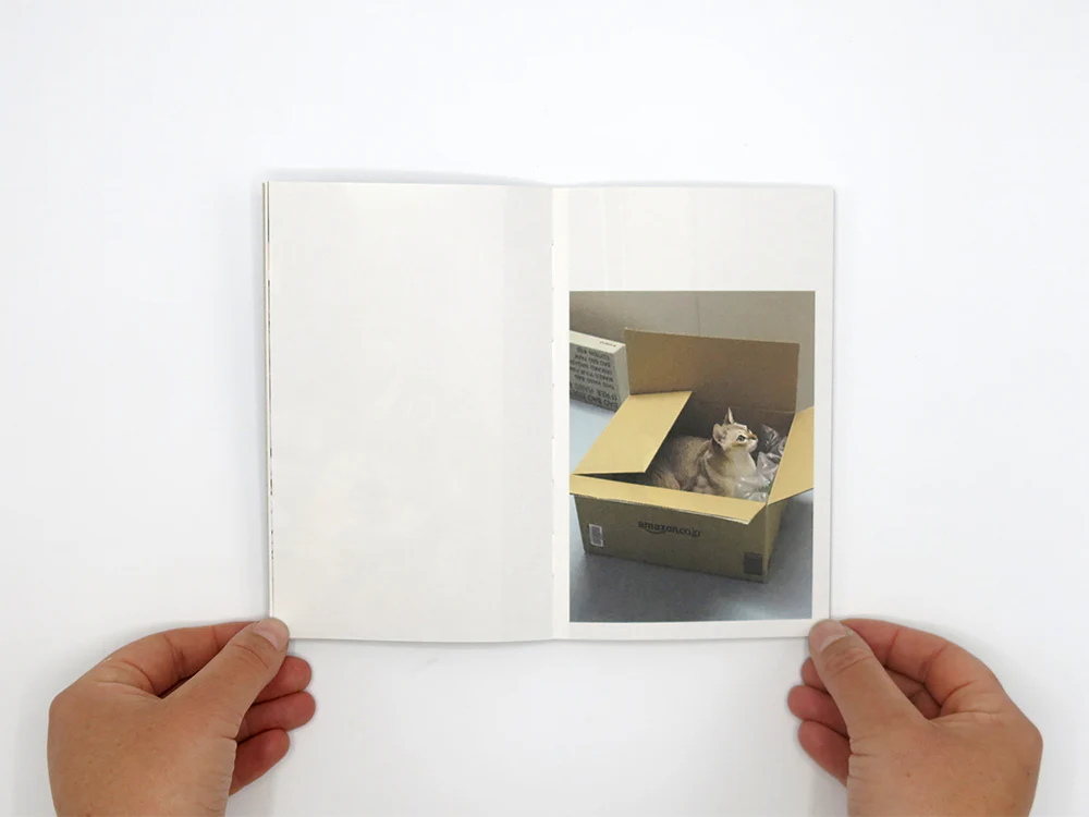 Takashi Homma – This Is Not My Cat - Image 4
