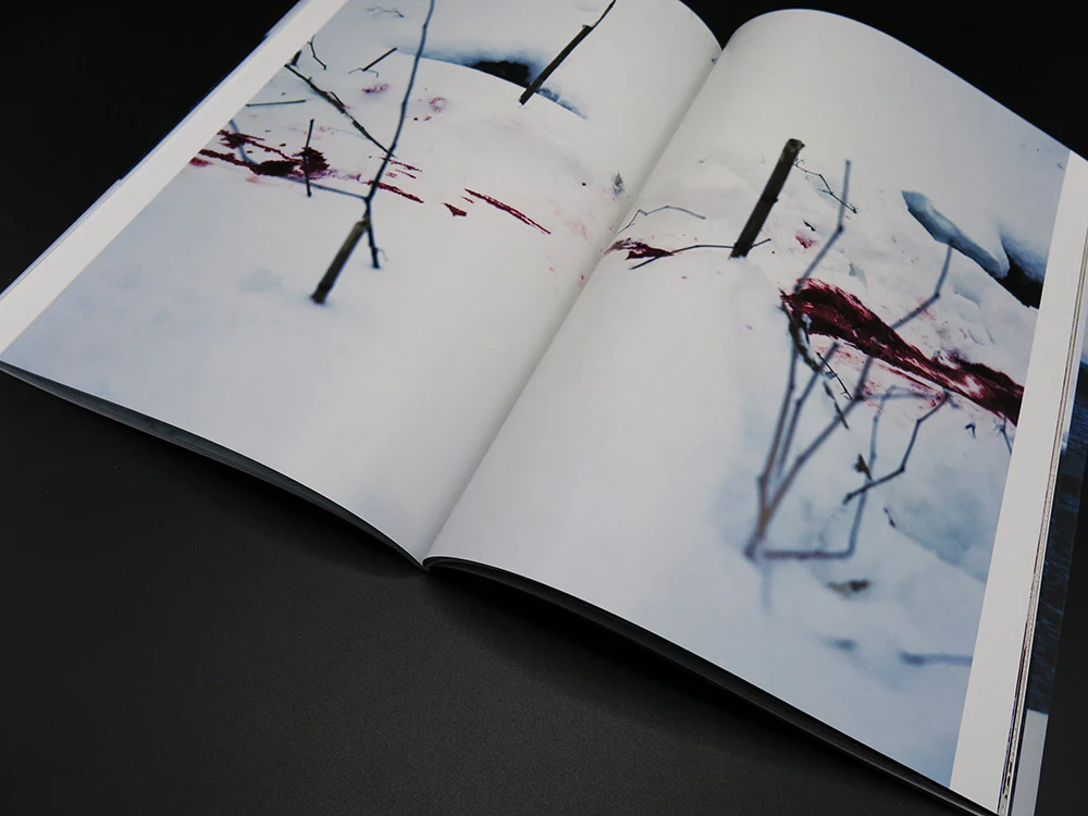 Takashi Homma – Trails (Rare) - Image 3