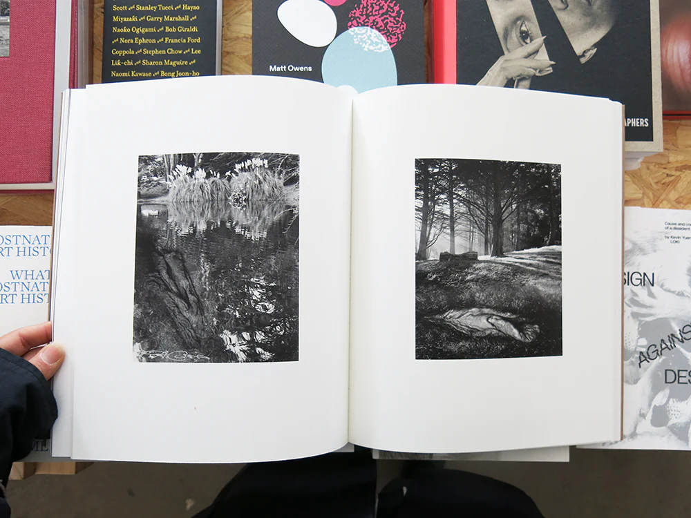 Tee A. Corinne: A forest fire between us - Image 7