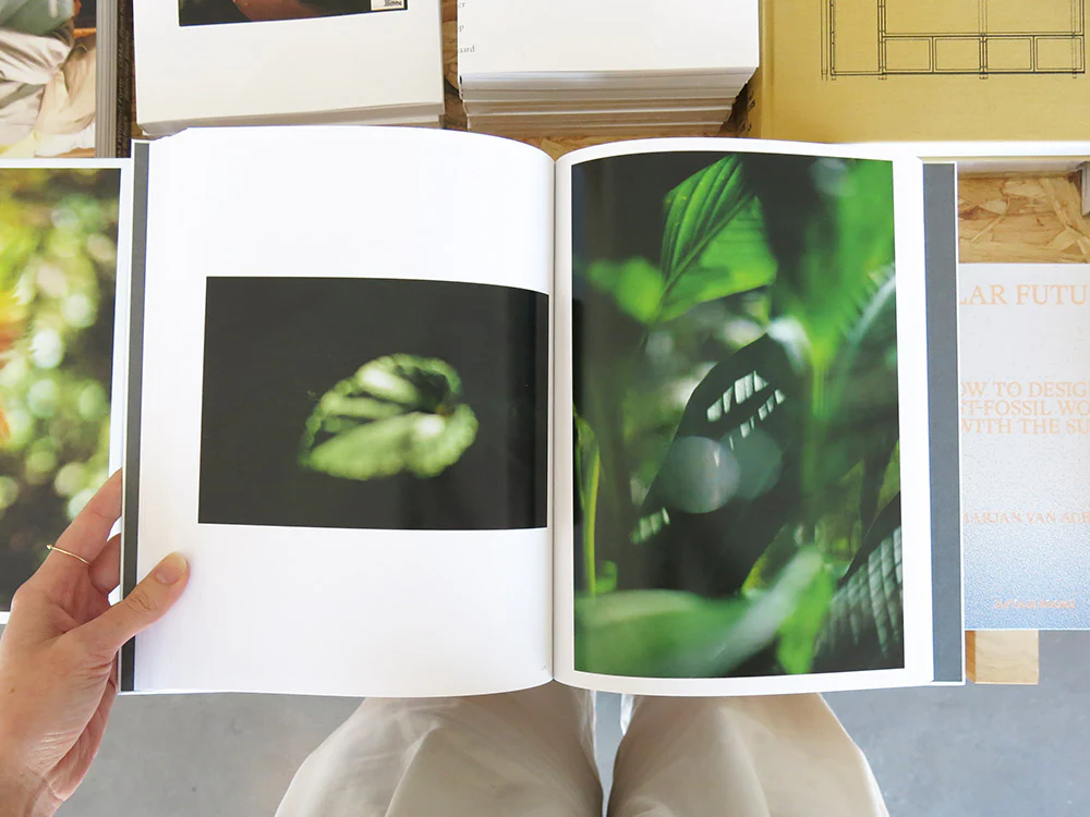 PRE-ORDER: Terri Weifenbach – Cloud Physics - Image 8