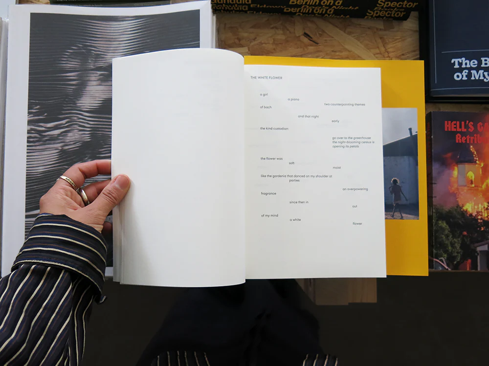 The Collected Poems of Mary Ellen Solt - Image 12