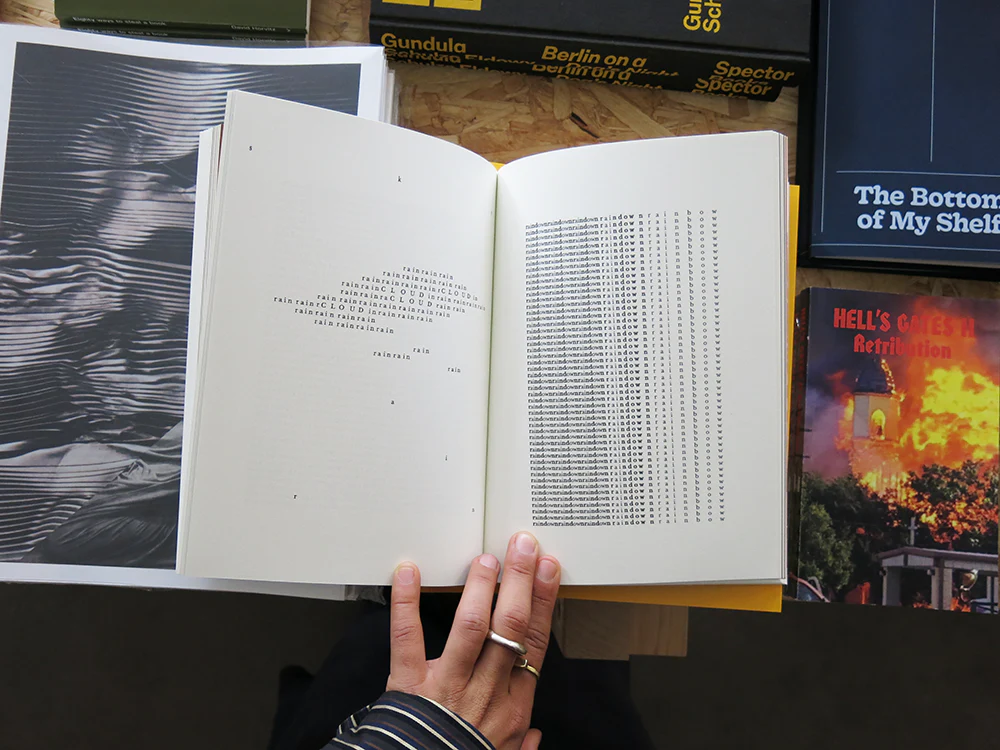 The Collected Poems of Mary Ellen Solt - Image 2