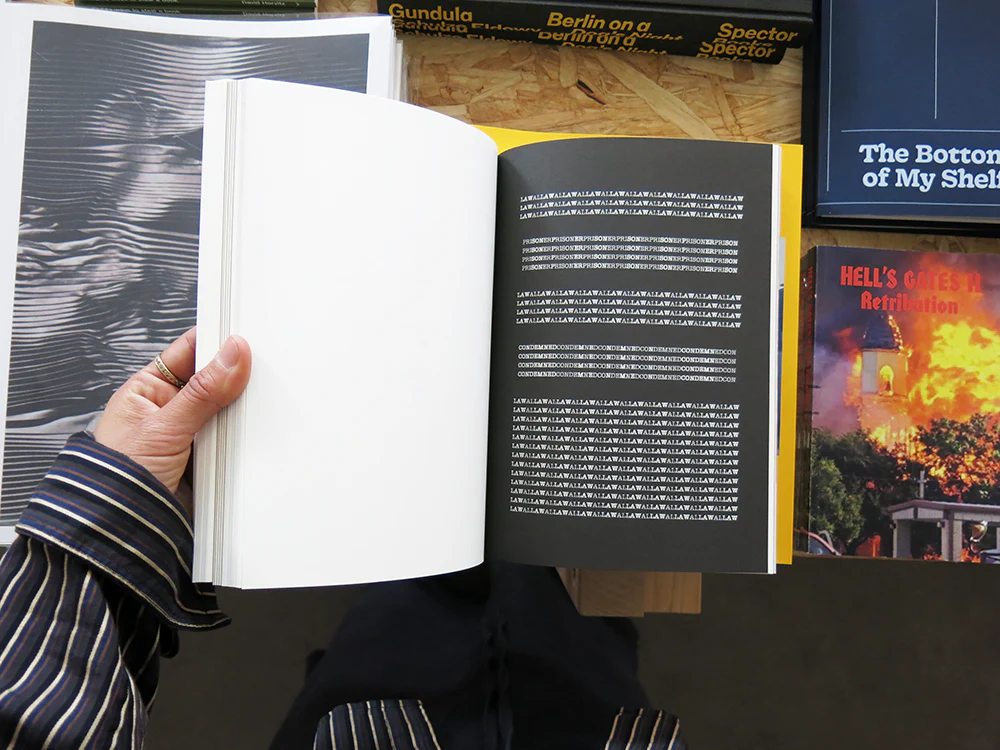 The Collected Poems of Mary Ellen Solt - Image 5