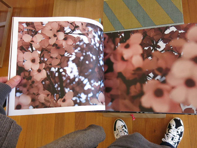 Thomas Demand & Ben Lerner - Blossom - Image 2