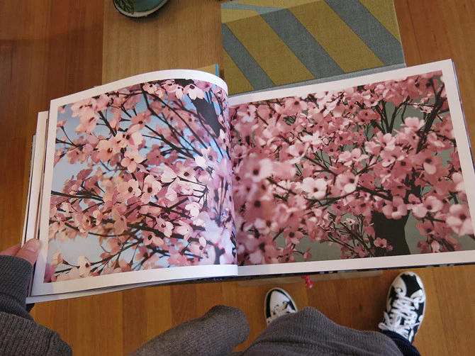 Thomas Demand & Ben Lerner - Blossom - Image 3