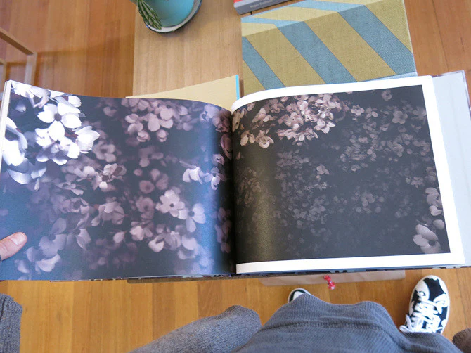Thomas Demand & Ben Lerner - Blossom - Image 6