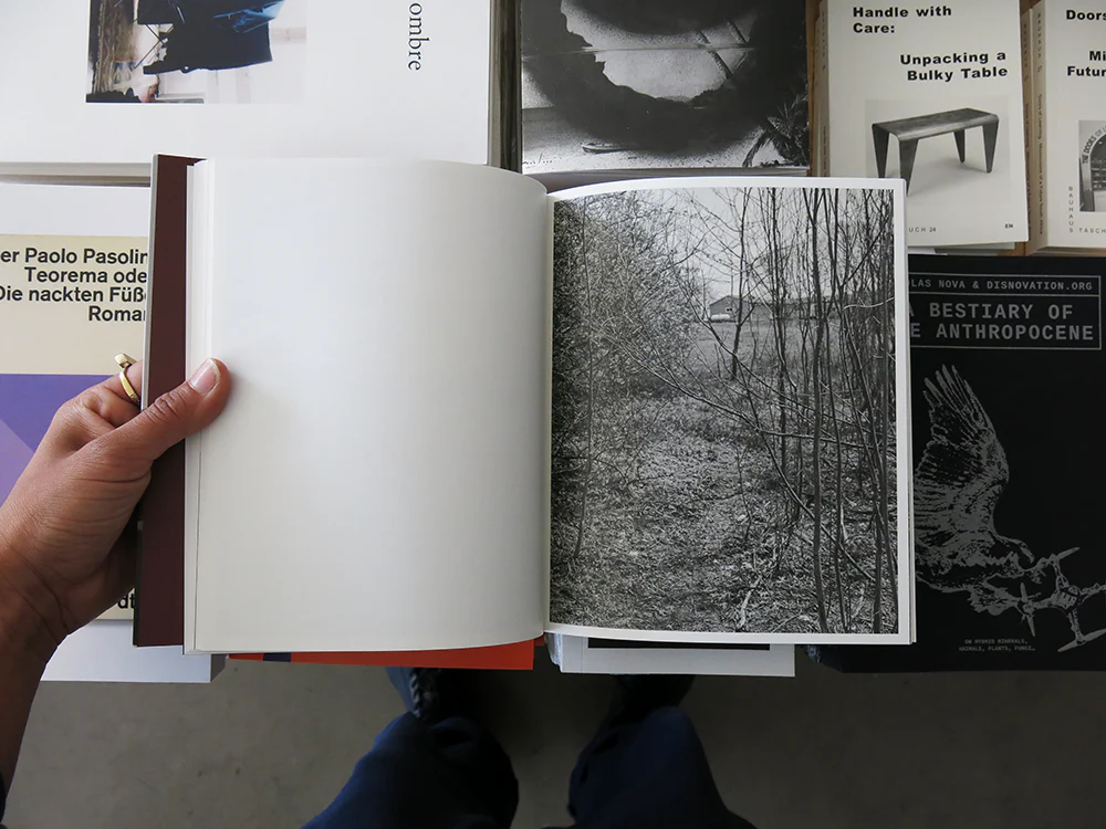 Tim Carpenter – Little - Image 7