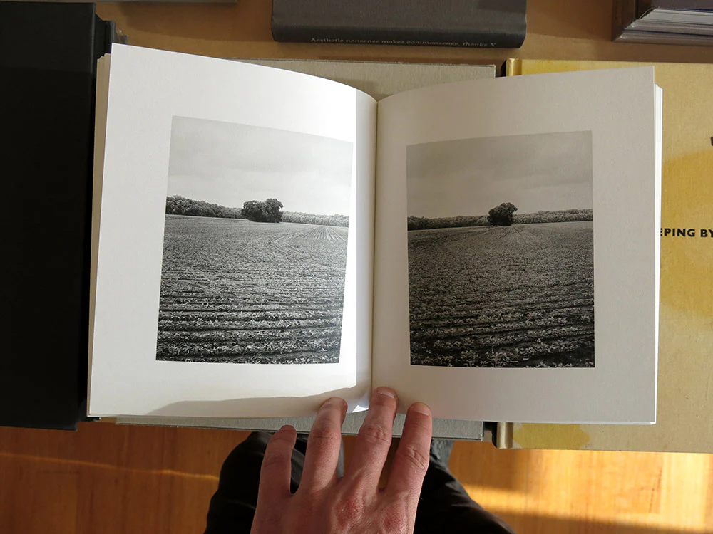 Tim Carpenter - Local Objects - Image 6