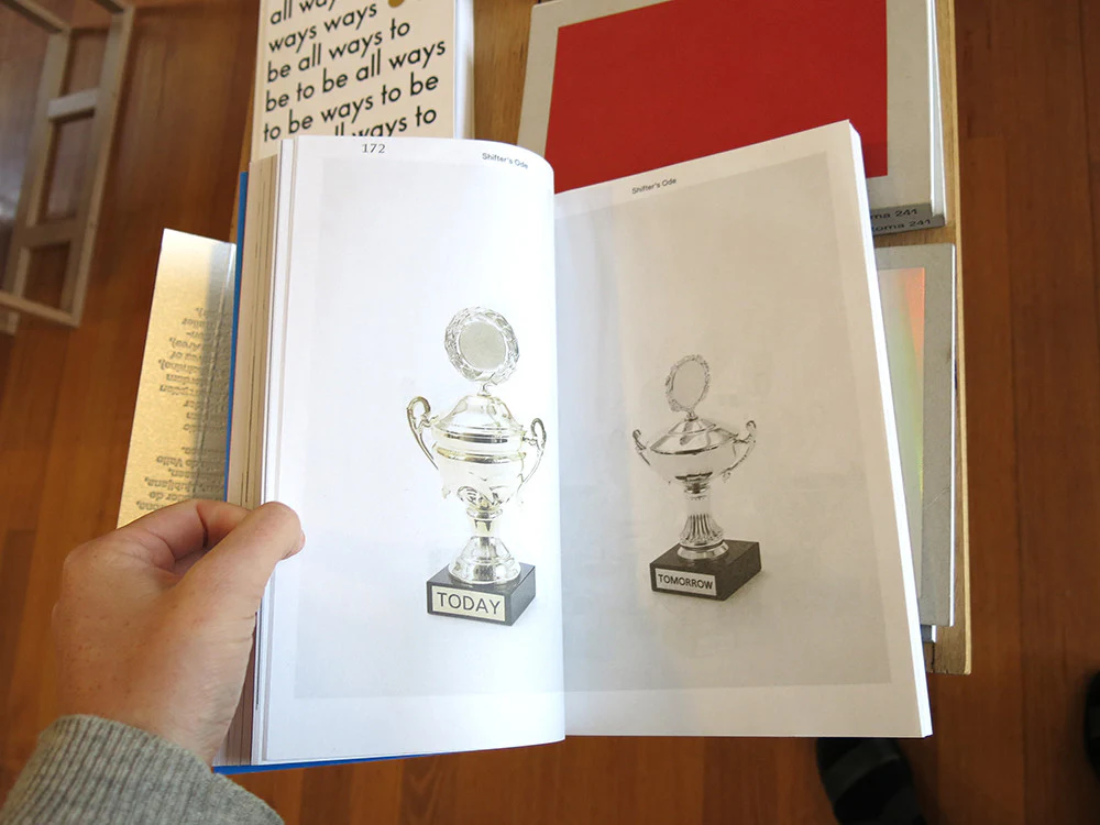 Tine Melzer - Taxidermy For Language-Animals - Image 3