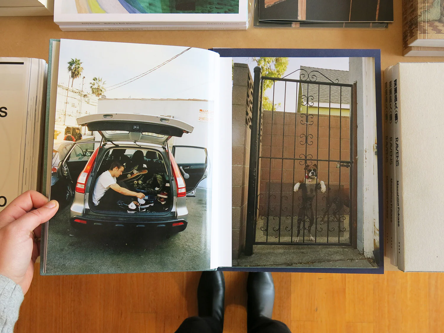 Tino Razo - Party in the Back - Image 3