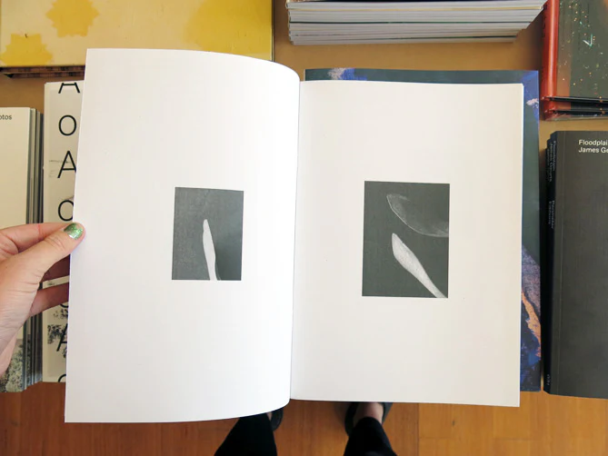 Traianos Pakioufakis - Form Supplement - Image 3