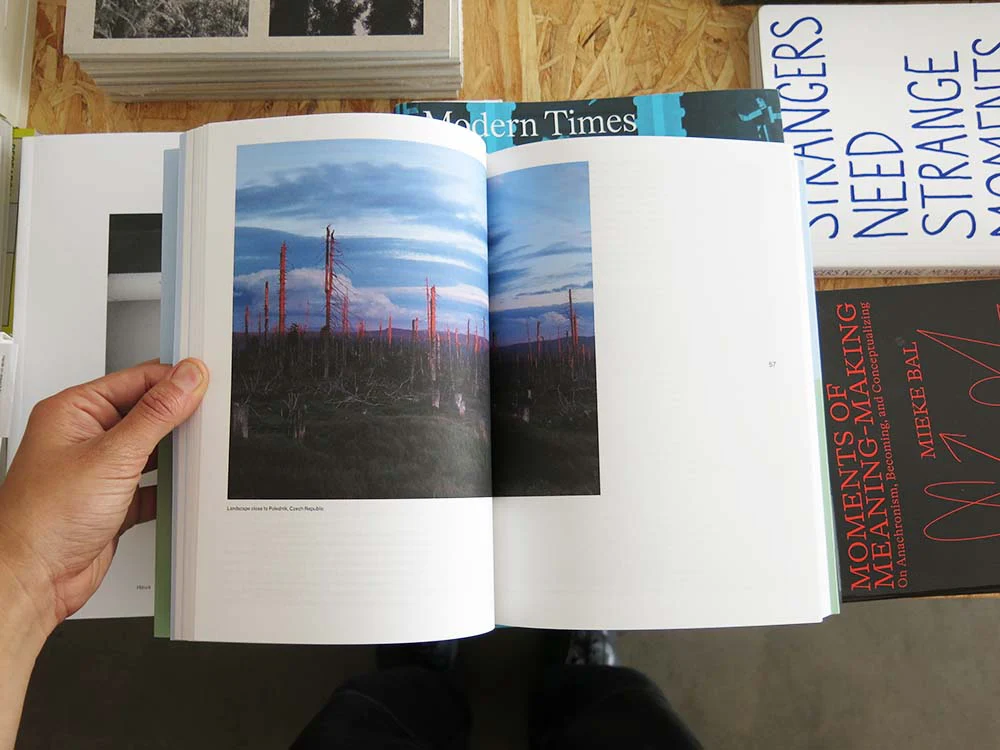 Walking as Embodied Worldmaking: Bodies, Borders, Knowledgescapes - Image 11