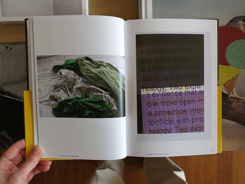Wolfgang Tillmans: DZHK Book 2018 - Image 3