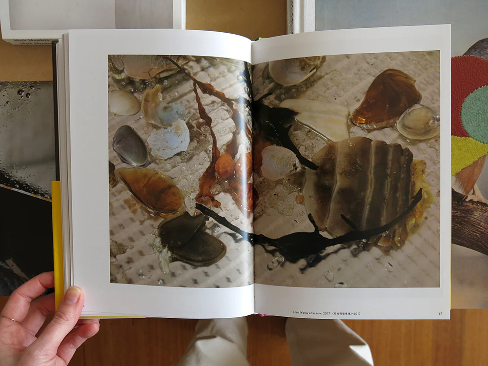 Wolfgang Tillmans: DZHK Book 2018 - Image 7