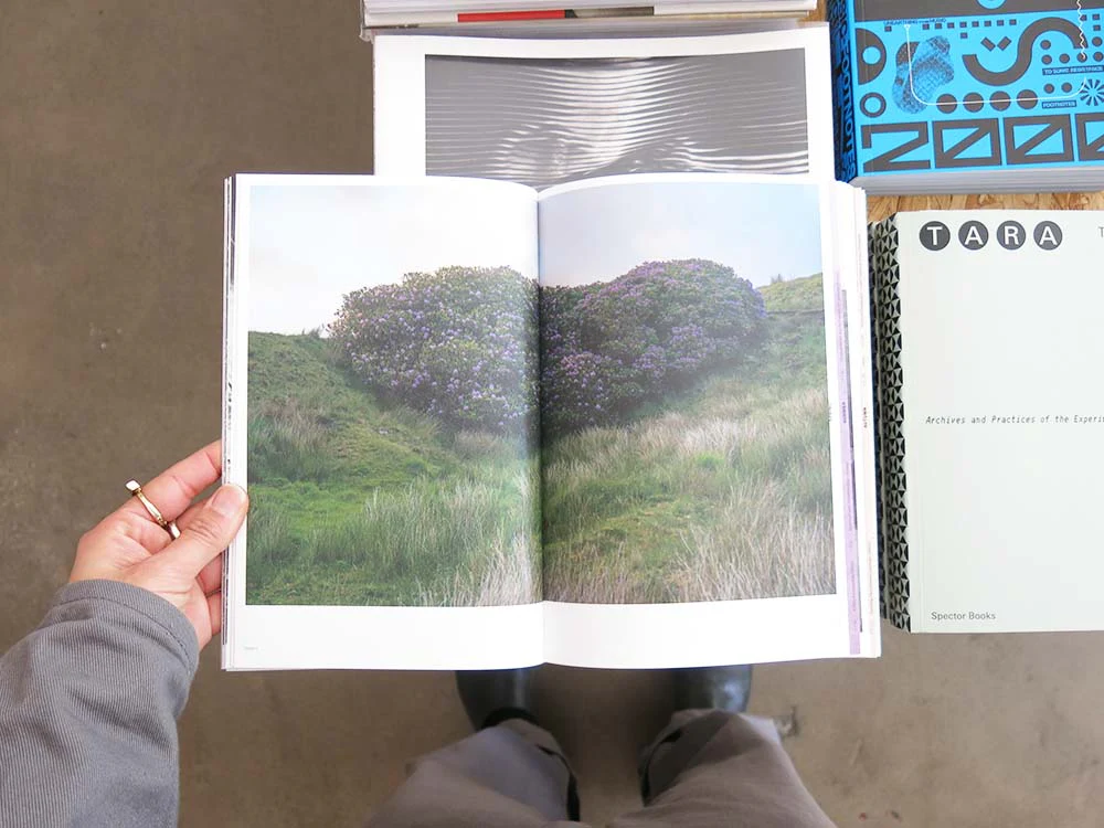 Yan Wang Preston – With Love. From an Invader: Rhododendrons, Empire, China and Me - Image 3