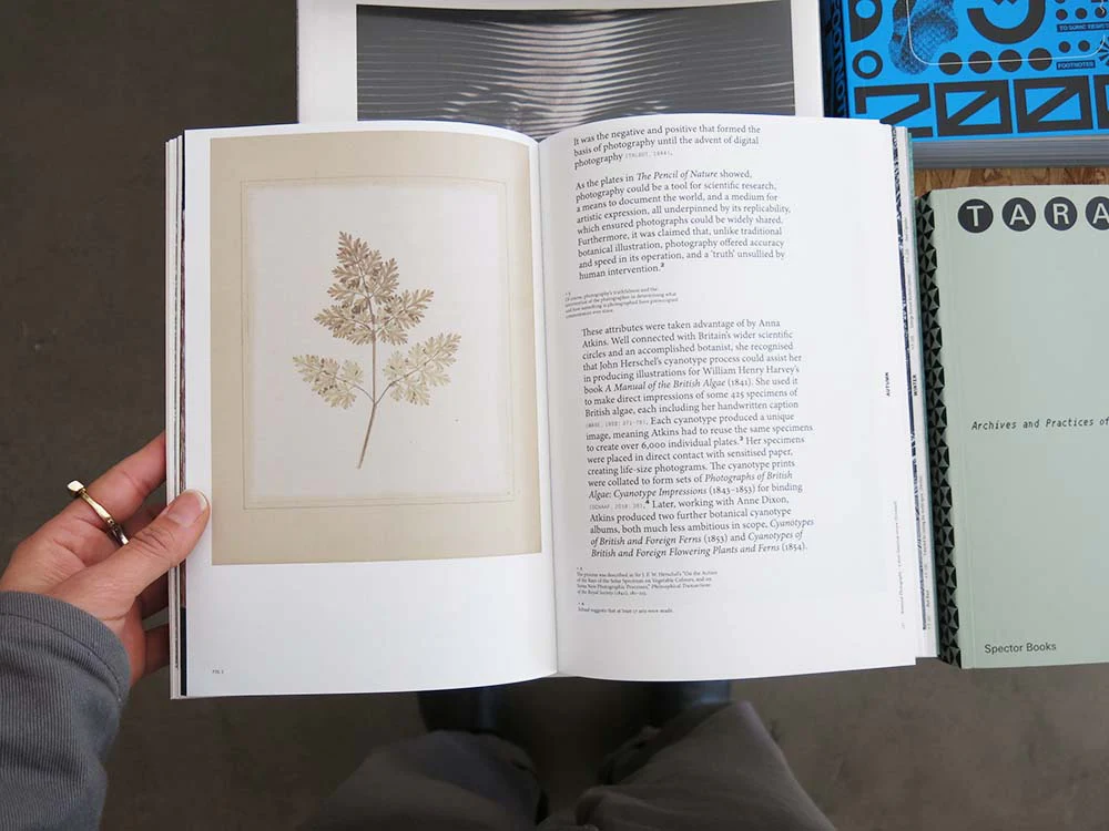 Yan Wang Preston – With Love. From an Invader: Rhododendrons, Empire, China and Me - Image 9