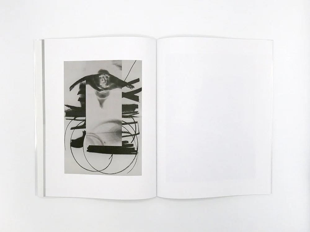 Zoë Croggon – How to Cut an Orange - Image 12