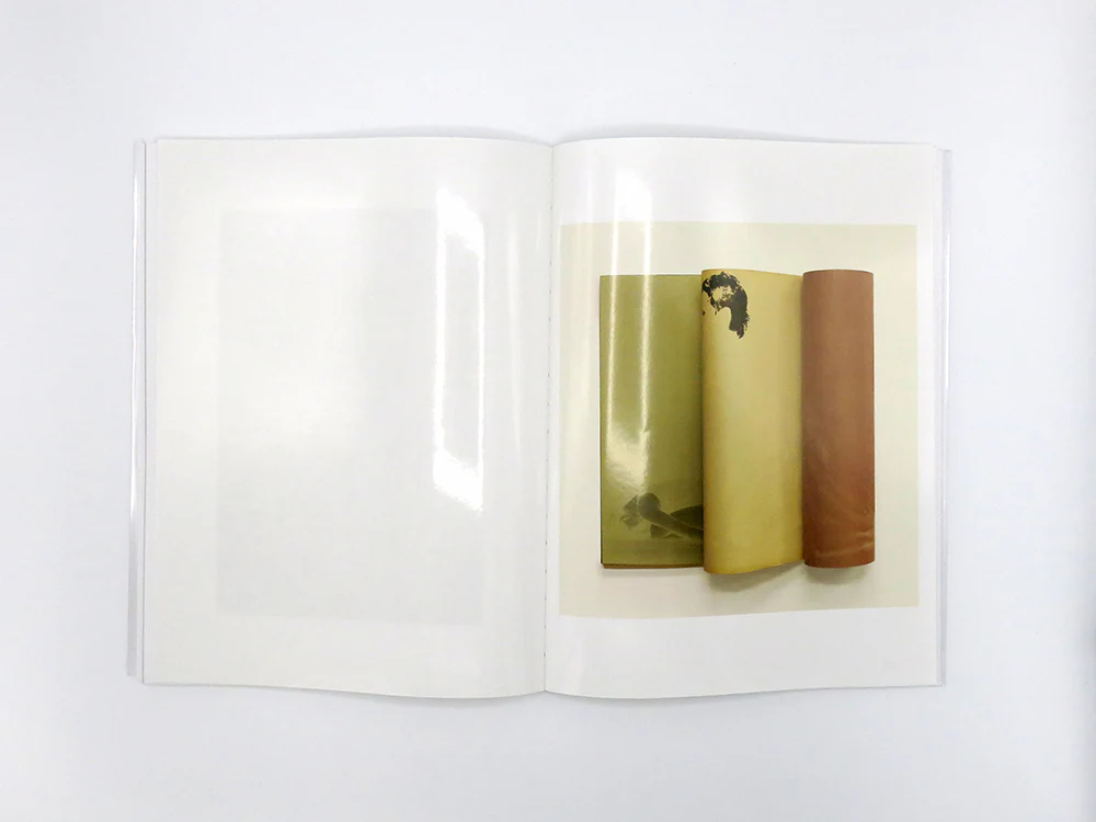 Zoë Croggon – How to Cut an Orange - Image 13
