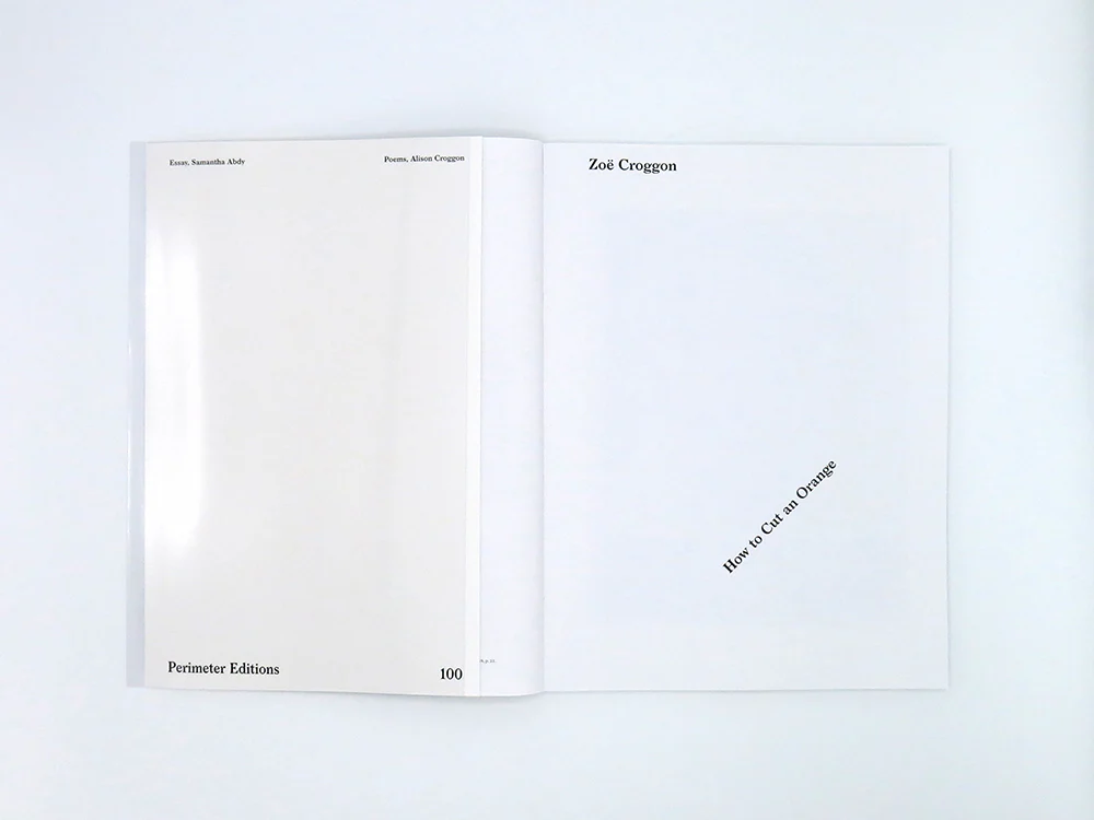 Zoë Croggon – How to Cut an Orange - Image 3